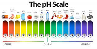 Why Is The pH of Water Important? - Aqua Clear Water Systems