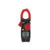 Multimeter UNI-T  2117R kliešťový