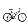 Horský bicykel Capriolo DIAVOLO DX 600 26"/19" fialovo/tyrkysové