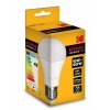 Kodak LED Globe60 10W E27 Day